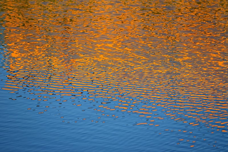 Water Ripples